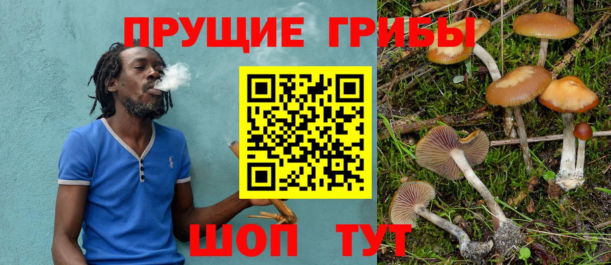 Псилоцибиновые грибы GOLDEN TEACHER Прохладный