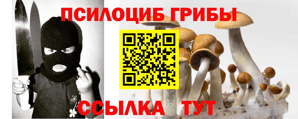 Галлюциногенные грибы GOLDEN TEACHER  Галлюциногенные грибы мицелий  Вход с VPN  Прохладный 